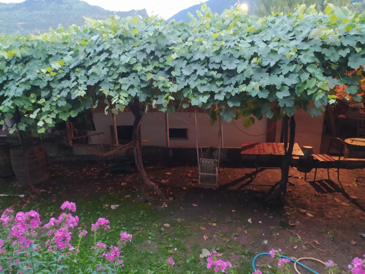 Guest House Nene เมสเตีย ภายนอก รูปภาพ